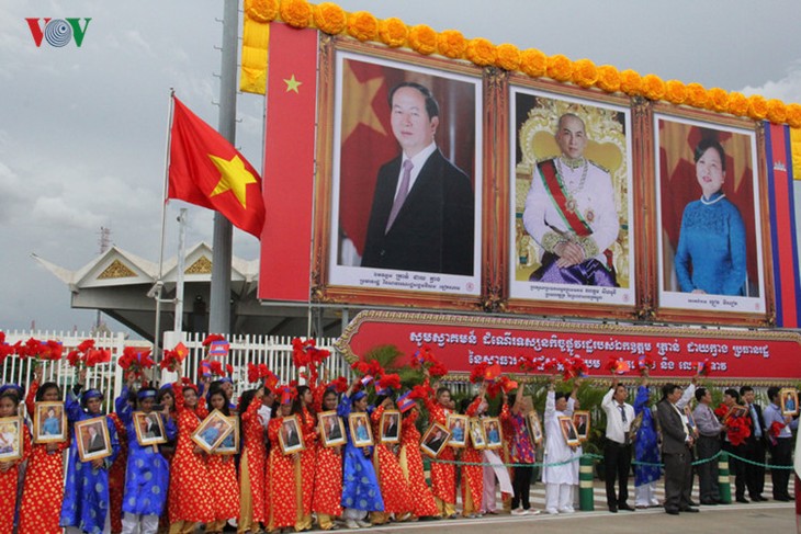 Chủ tịch nước Trần Đại Quang hội kiến với Quốc vương Norodom Sihamoni - ảnh 1