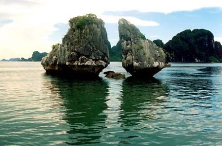 เวียดนามอนุรักษ์และส่งเสริมประโยชน์มรดกจากอ่าวฮาลอง - ảnh 1