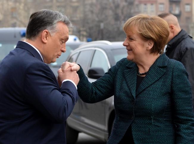 Germany not to supply weapons to Ukraine  - ảnh 1