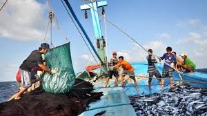 Vietnam Fisheries Association opposes China’s illegal fishing ban - ảnh 1