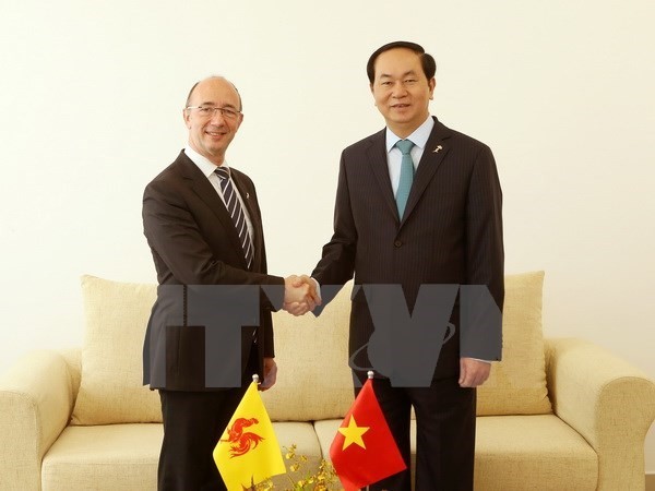 President Tran Dai Quang wraps up overseas trip  - ảnh 1