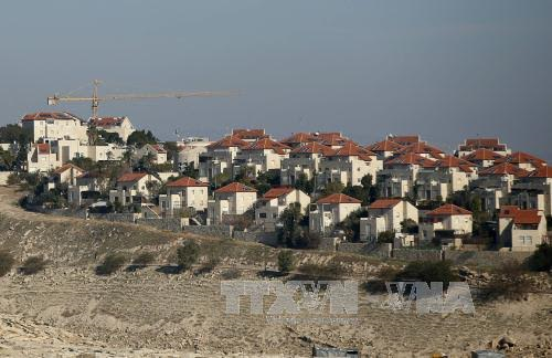Israel approves permits for 560 settlement houses in East Jerusalem - ảnh 1