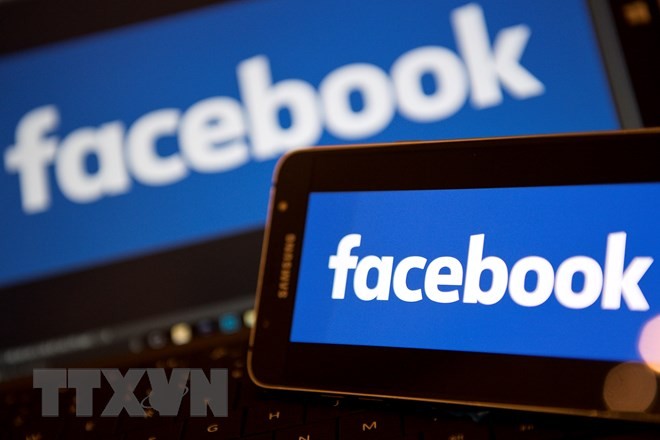 EU calls for investigation of Facebook  - ảnh 1