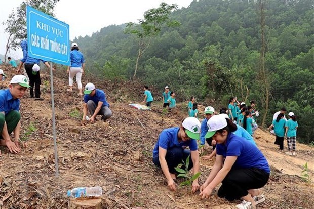 PM gives green light to 1-billion-tree growing project - ảnh 1