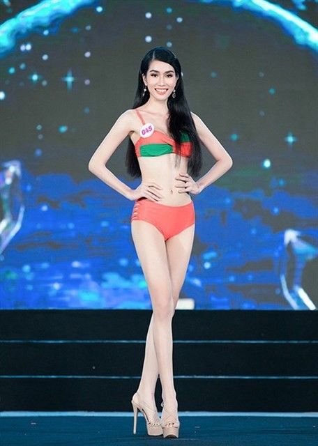 Vietnamese beauties to compete at global pageants - ảnh 2