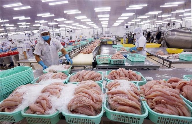 Vietnam’s seafood export on track to 9 billion USD mark in 2021 - ảnh 1