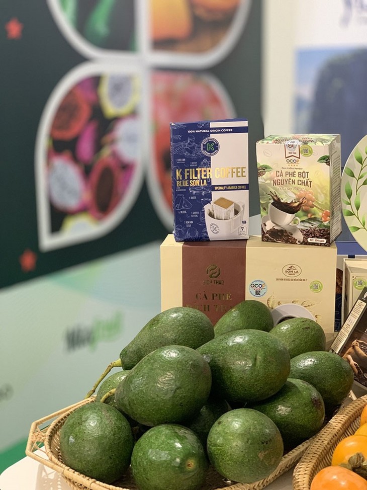 Vietnamese fruits showcased at Macfrut 2021 in Italy - ảnh 4