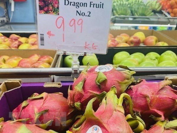 Vietnamese dragon fruit rated five stars in Australia - ảnh 1