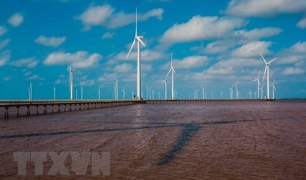 World Bank builds offshore wind roadmap for Vietnam - ảnh 1
