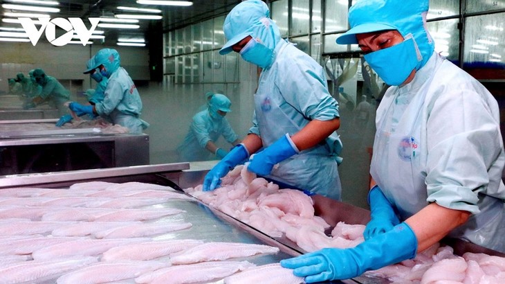 Conference seeks to boost seafood exports to EU - ảnh 1