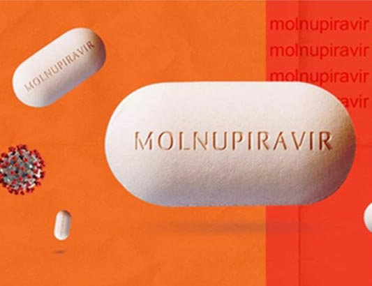 Another molnupiravir drug authorised for use in COVID-19 treatment - ảnh 1
