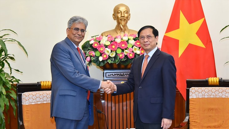 FM receives Indian diplomat during political consultation  - ảnh 1