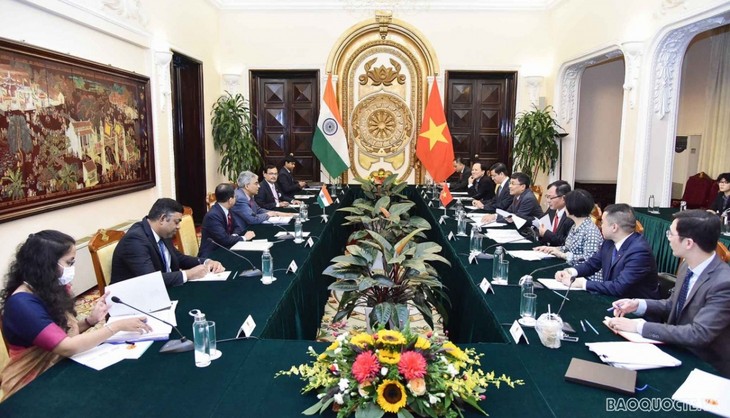 Vietnam, India hold political consultation - ảnh 1