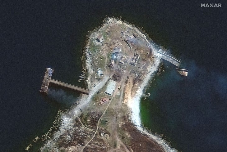 Russia abandons Snake Island - ảnh 1
