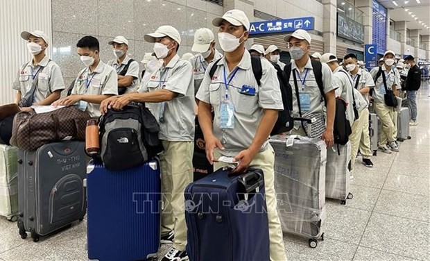 More Vietnamese workers sent to RoK  - ảnh 1