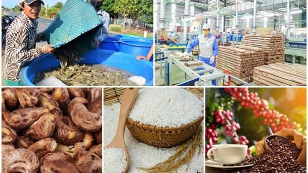 Nine agricultural items surpass 1-billion-USD mark in export turnover - ảnh 1