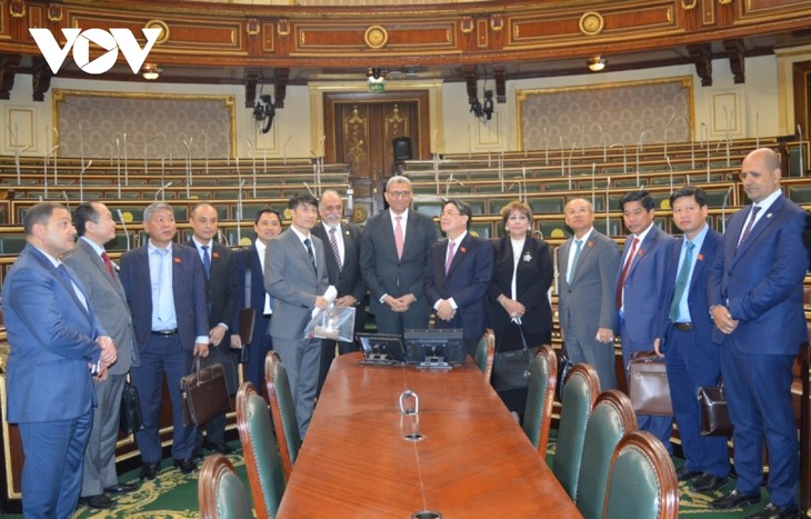 Vietnam, Egypt strengthen parliamentary cooperation - ảnh 2
