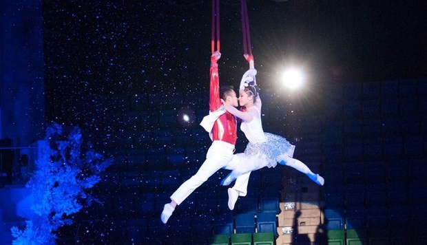 International Circus Festival to open in December - ảnh 2
