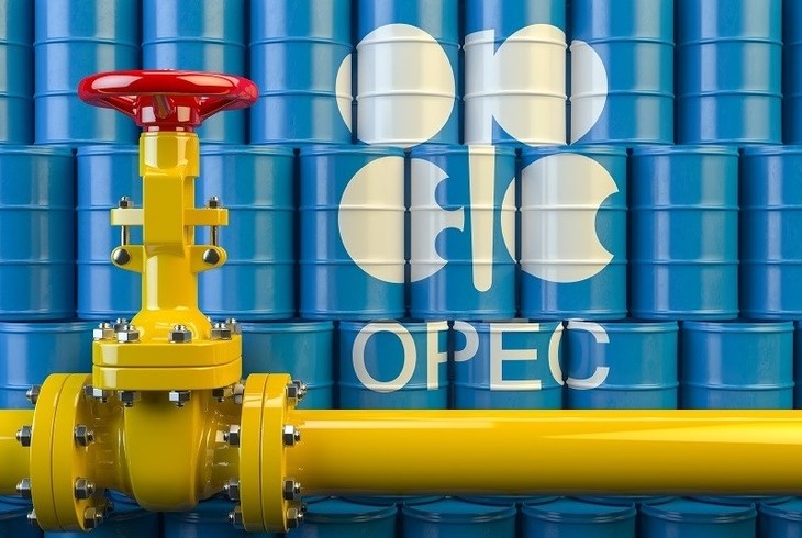 OPEC+ keeps output target unchanged amid market uncertainties - ảnh 1
