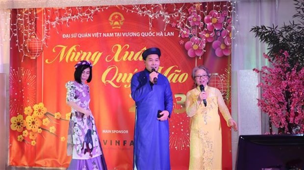 Overseas Vietnamese in Netherlands celebrate the Tet festival - ảnh 1