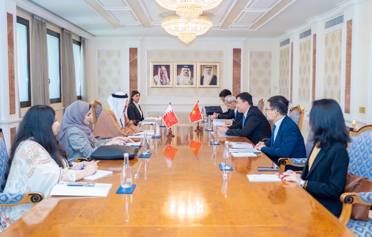 Vietnam, Bahrain seek to improve bilateral cooperation - ảnh 2