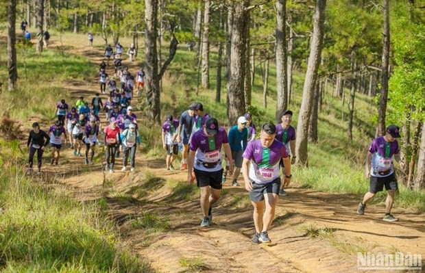 7,000 runners join Dalat Ultra Trail 2023  - ảnh 1