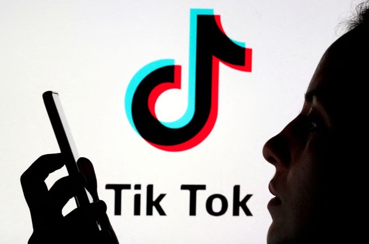 Netherlands bans TikTok from government cell phones - ảnh 1
