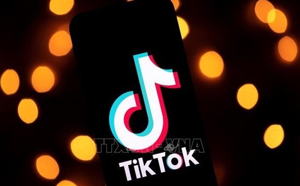 Ministry plans inspection of TikTok in May  - ảnh 1