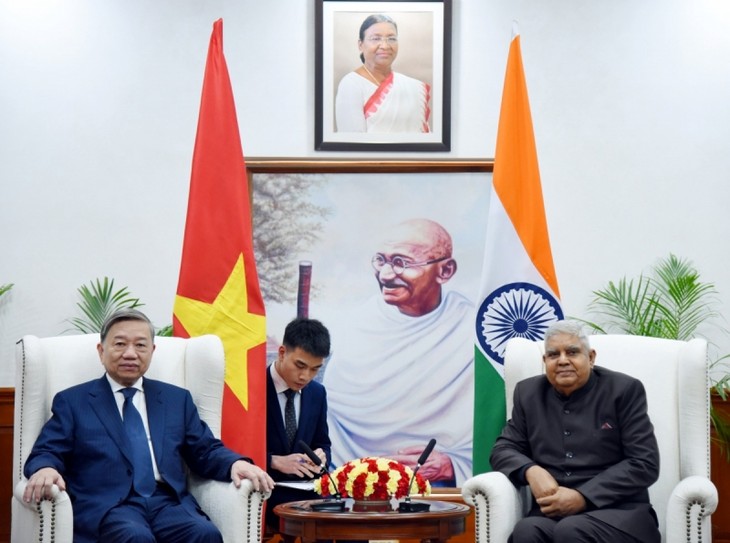 Vietnam, India bolster security cooperation - ảnh 1