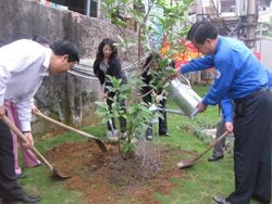 ท้องถิ่นต่างๆขานรับตรุษต๊ตปลูกต้นไม้รำลึกถึงประธานโฮจิมินห์ - ảnh 1