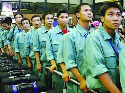  แรงงานเวียดนามกว่า๗หมื่นคนได้ไปทำงานในต่างประเทศในเดือนตุลาคมที่ผ่านมา - ảnh 1