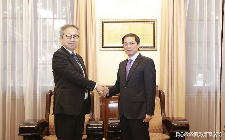 Активизация отношений углублённого стратегического партнерства между Вьетнамом и Японией - ảnh 1