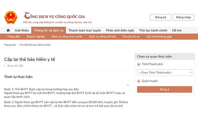 Служба социального страхования Вьетнама завершила проект по предоставлению доступа к государственным услугам в режиме онлайн - ảnh 1
