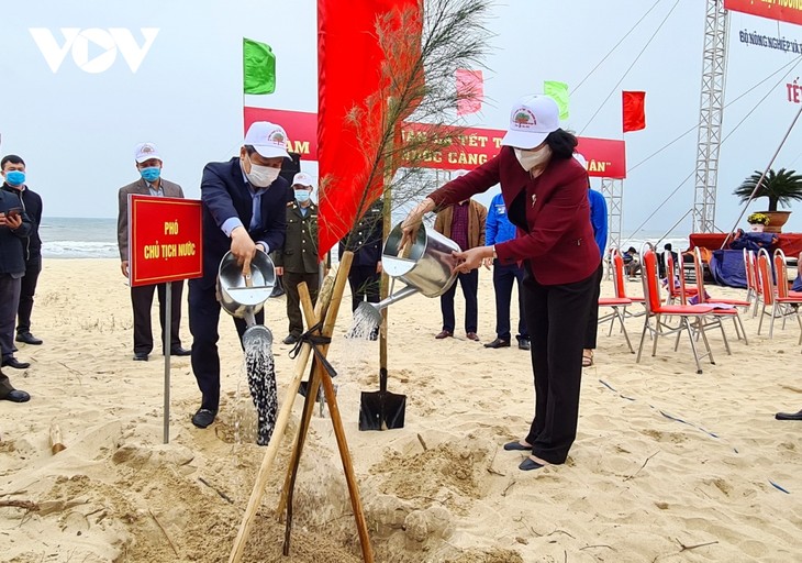 Вице-президент Данг Тхи Нгок Тхинь развернула кампанию по посадке деревьев в провинции Куангбинь - ảnh 1