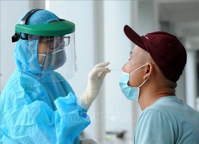 Число новых зараженных коронавирусом во Вьетнаме составило 230 - ảnh 1