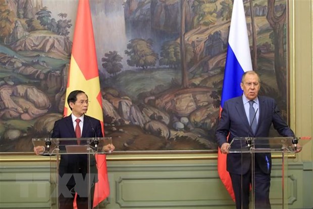 В России дали позитивную оценку визиту главы МИД Вьетнама - ảnh 1