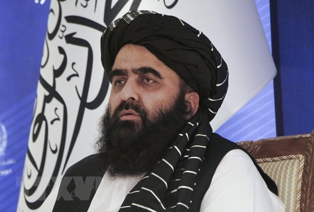 Делегация «Талибана» прибудет в Россию для обсуждения ситуации в Афганистане - ảnh 1