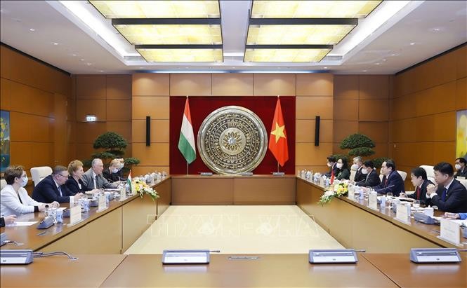 Вьетнам и Венгрия продолжают проводить мероприятия по обмену опытом между парламентами двух стран - ảnh 1