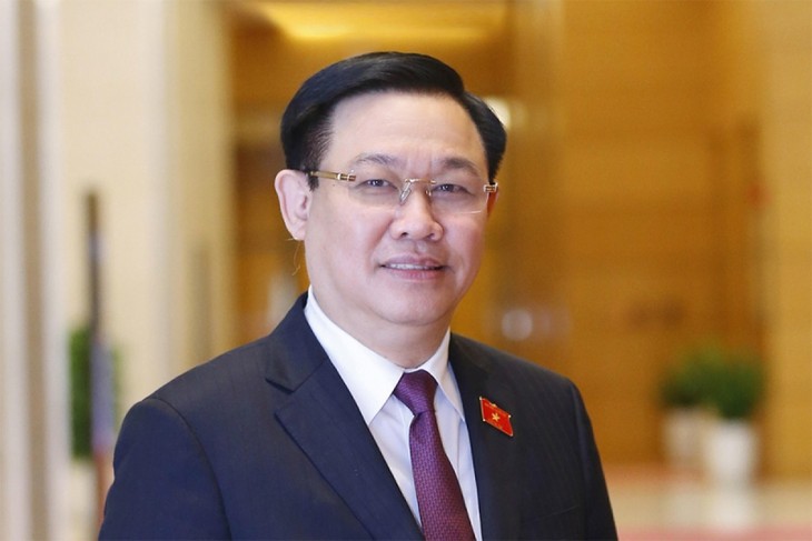 Визит главы вьетнамского парламента Выонг Динь Хюэ в Венгрию укрепит двусторонние отношения - ảnh 1