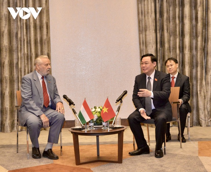 Вьетнам и Венгрия диверсифицируют мероприятия народной дипломатии - ảnh 1
