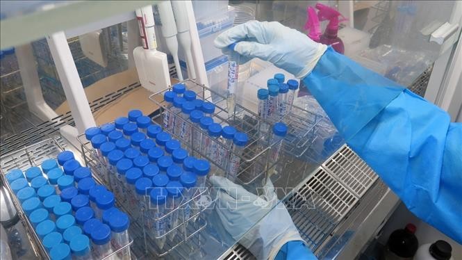 За последние сутки выявили 777 новых случаев заражения коронавирусом - ảnh 1