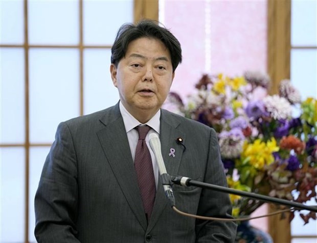 Япония высоко оценивает роль АСЕАН в Индо-Тихоокеанском регионе - ảnh 1