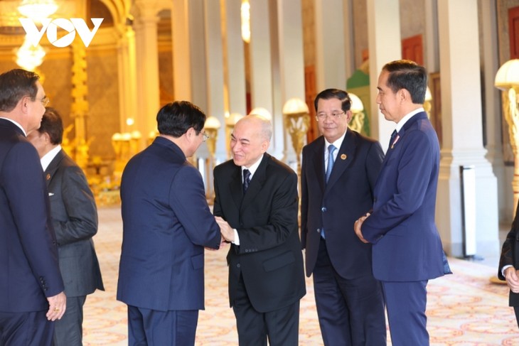 Руководители стран АСЕАН нанесли визит королю Камбоджи - ảnh 1