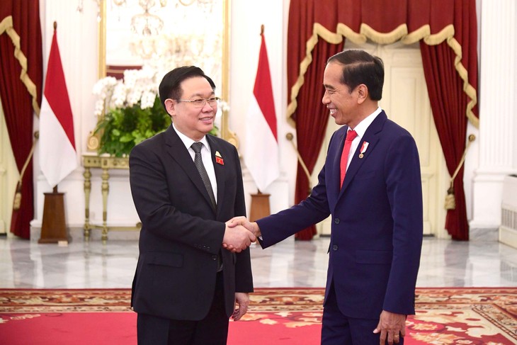 Председатель Национального собрания Выонг Динь Хюэ встретился с президентом Индонезии Джоко Видодо - ảnh 1