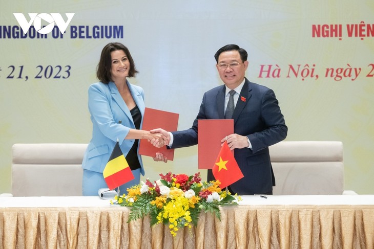 Парламентское сотрудничество между Вьетнамом и Бельгией выходит на новый уровень  - ảnh 1