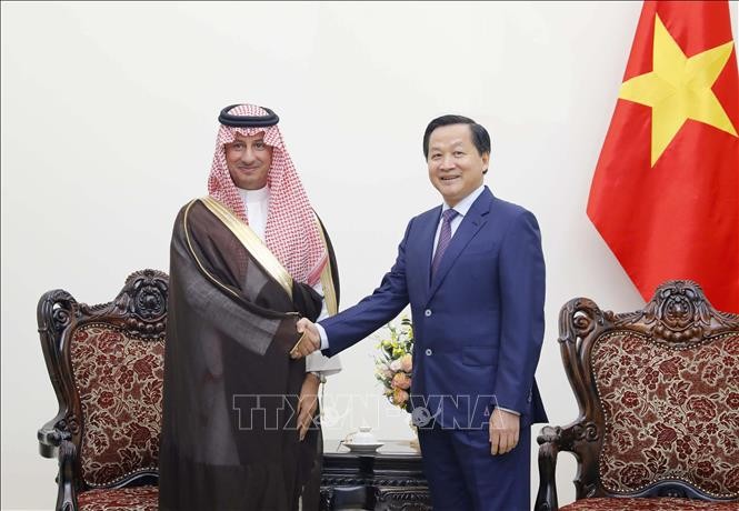 Вьетнам придает значение дальнейшей активизации отношений дружбы и многоаспектного сотрудничества с Саудовской Аравией - ảnh 1