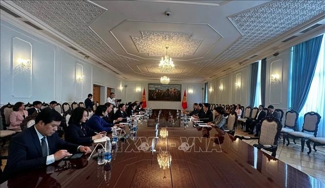 Активизация сотрудничества между Вьетнамом и Кыргызстаном - ảnh 1