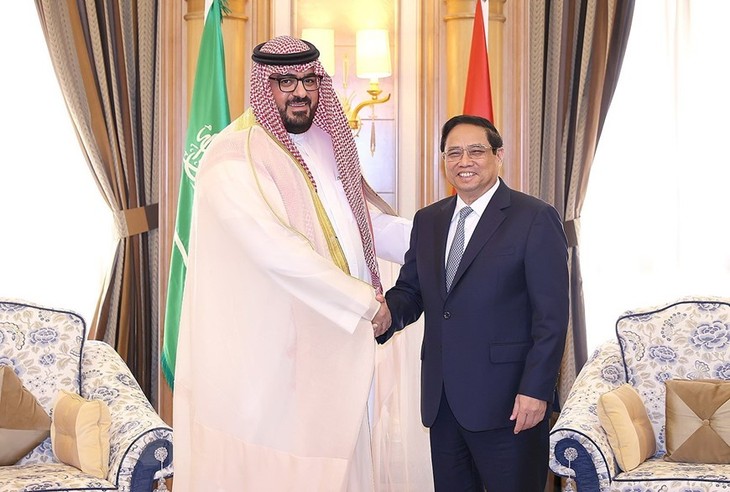 Премьер-министр Фам Минь Тинь принял глав разных министерств Саудовской Аравии - ảnh 1