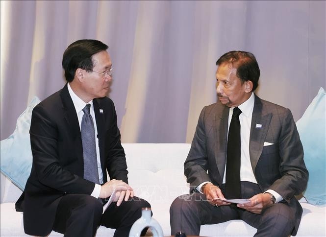 Президент Во Ван Тхыонг встретился с королем Брунея. - ảnh 1