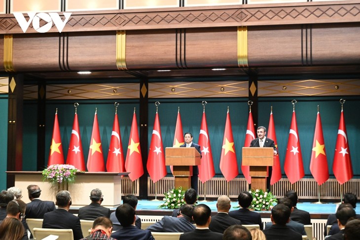 Премьер-министр Фам Минь Тинь и вице-президент Турции провели встречу со СМИ  - ảnh 1